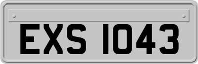 EXS1043