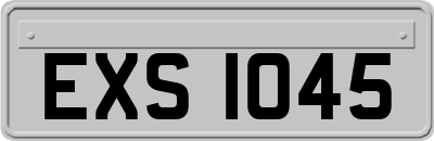 EXS1045