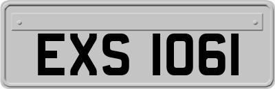 EXS1061