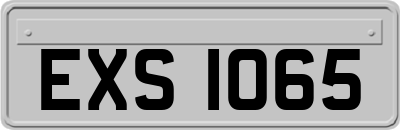 EXS1065