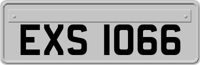 EXS1066