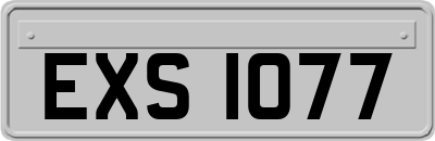 EXS1077