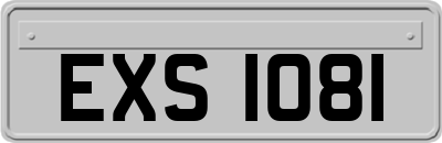 EXS1081