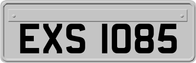 EXS1085