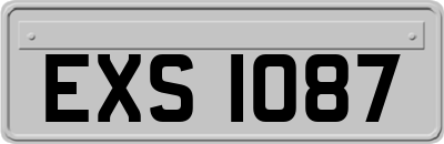 EXS1087