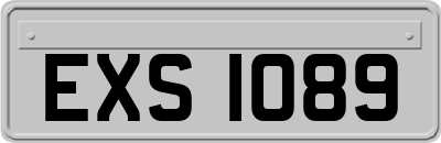 EXS1089