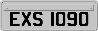 EXS1090