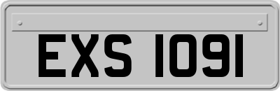 EXS1091
