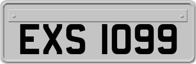 EXS1099
