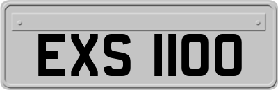 EXS1100