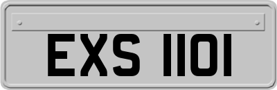 EXS1101