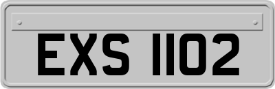 EXS1102