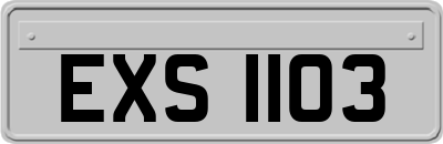 EXS1103