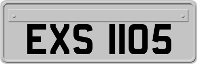 EXS1105