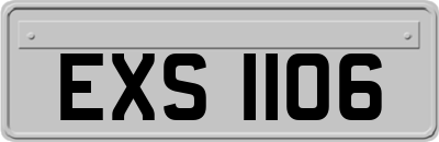 EXS1106