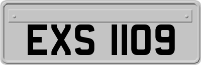 EXS1109