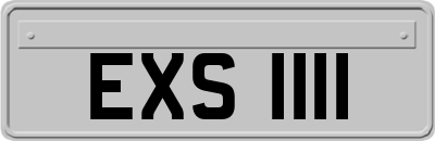 EXS1111