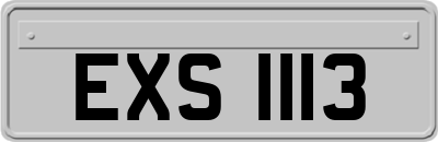 EXS1113