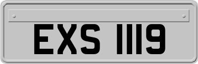 EXS1119