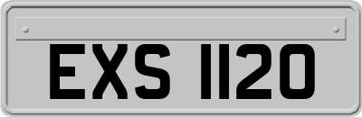 EXS1120