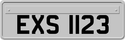 EXS1123