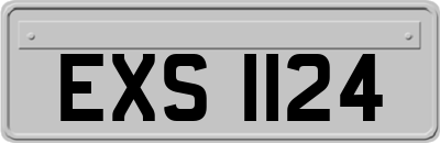 EXS1124