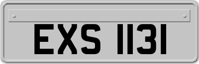 EXS1131