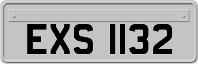 EXS1132