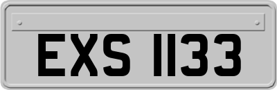EXS1133