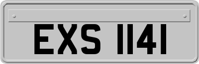 EXS1141