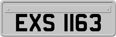 EXS1163