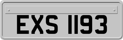 EXS1193