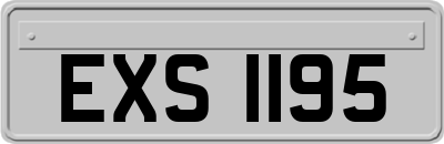 EXS1195