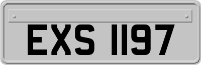 EXS1197