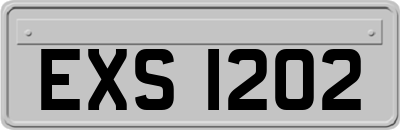 EXS1202