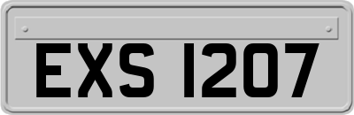 EXS1207