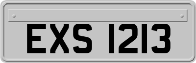 EXS1213