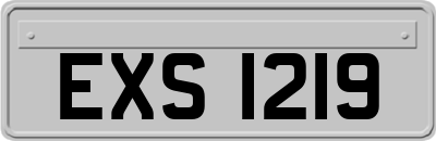 EXS1219