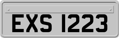 EXS1223