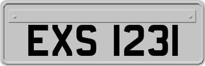EXS1231