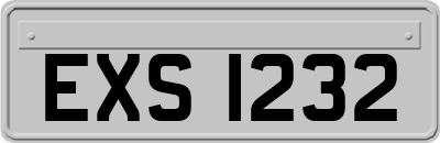 EXS1232