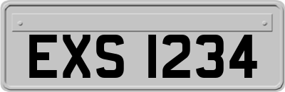 EXS1234