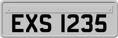EXS1235