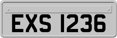EXS1236