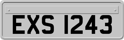 EXS1243