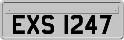 EXS1247