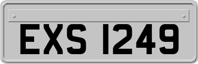 EXS1249
