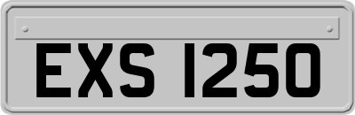 EXS1250