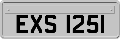 EXS1251