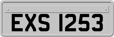 EXS1253
